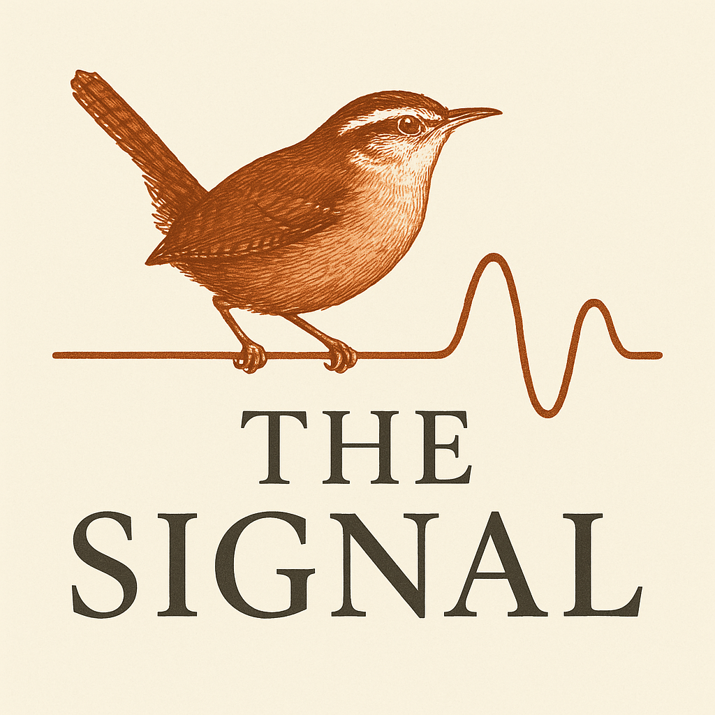 The Signal